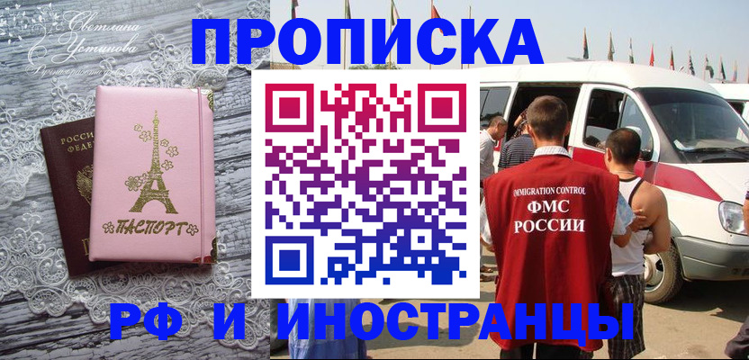 прописка поиск в Светлом